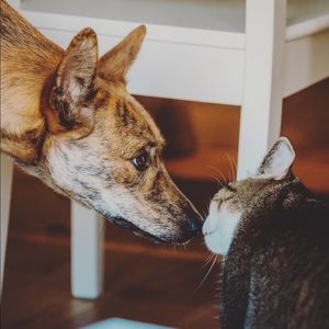 Meet your Posher, Jacki